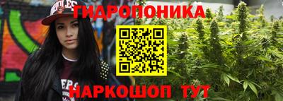 молекула духа Малоярославец