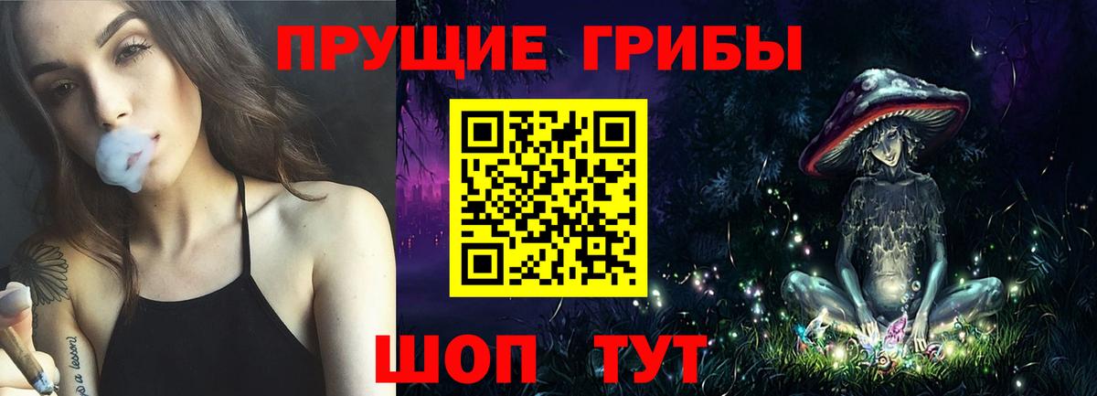 сколько стоит  Псилоцибиновые грибы Cubensis  Вход с VPN  Дербент 